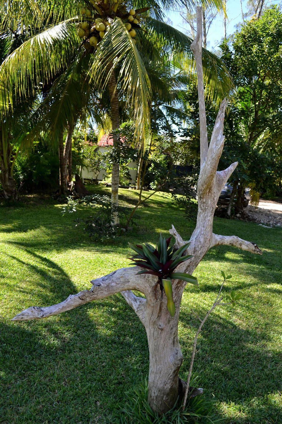 מלון בקאלאר Casa Caracol מראה חיצוני תמונה